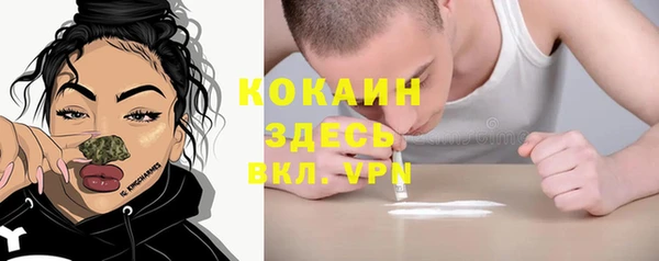 ешки Михайлов