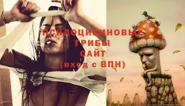 твердый Михайловск